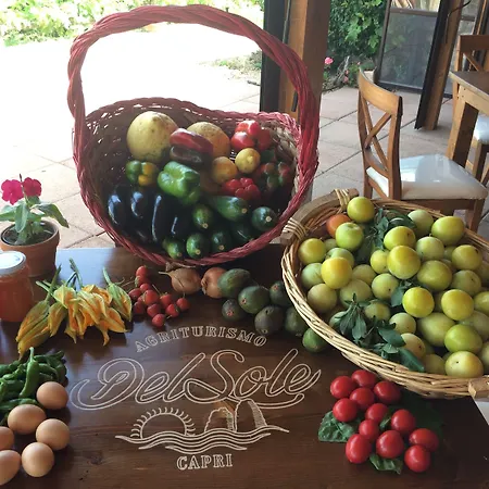 农家乐 太阳农家乐 *