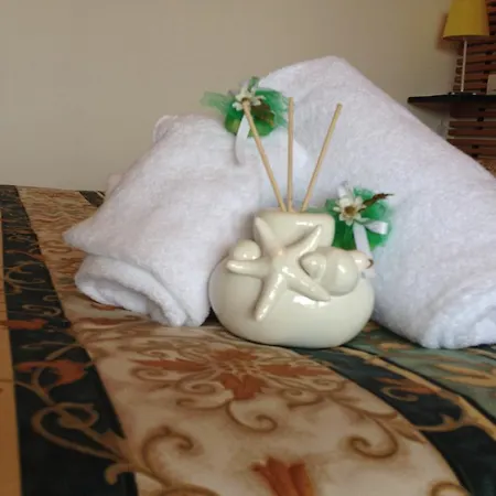 太阳农家乐 农家乐