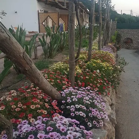 Del Sole Alloggio per agriturismo Anacapri (Isola di Capri)
