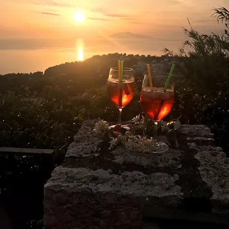 Del Sole Alloggio per agriturismo Anacapri (Isola di Capri)
