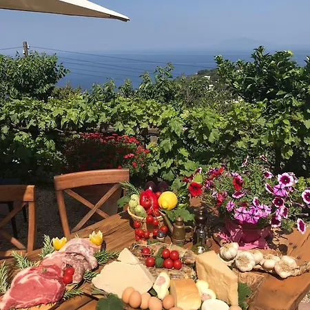 Alloggio per agriturismo Del Sole Anacapri (Isola di Capri)